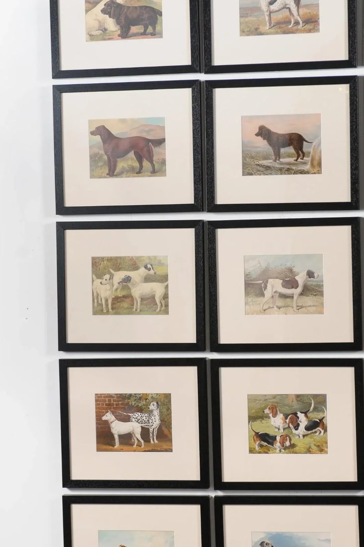 Single Print - Cassell, Petter, Galpin & Co Chromolithograph Dog Print in Black Frame - 8