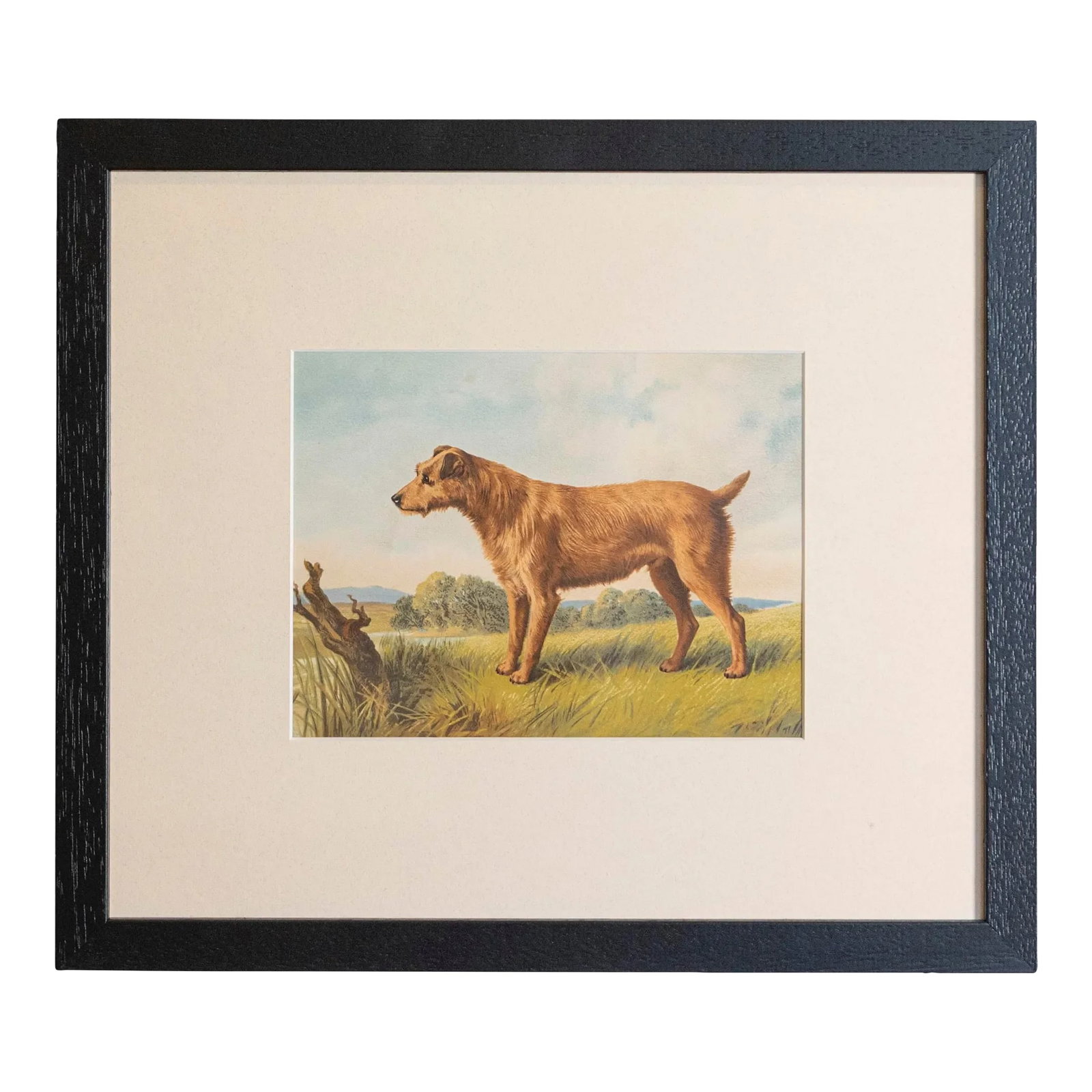 Cassell, Petter, Galpin & Co Chromolithograph Dog Prints in Black Frames: Single Print - This is for the exact light brown Hunting Dog print in the main photo. (18 available see other photos and listings) - Cassell, Petter, Galpin & Co. chromolithograph dog prints from the