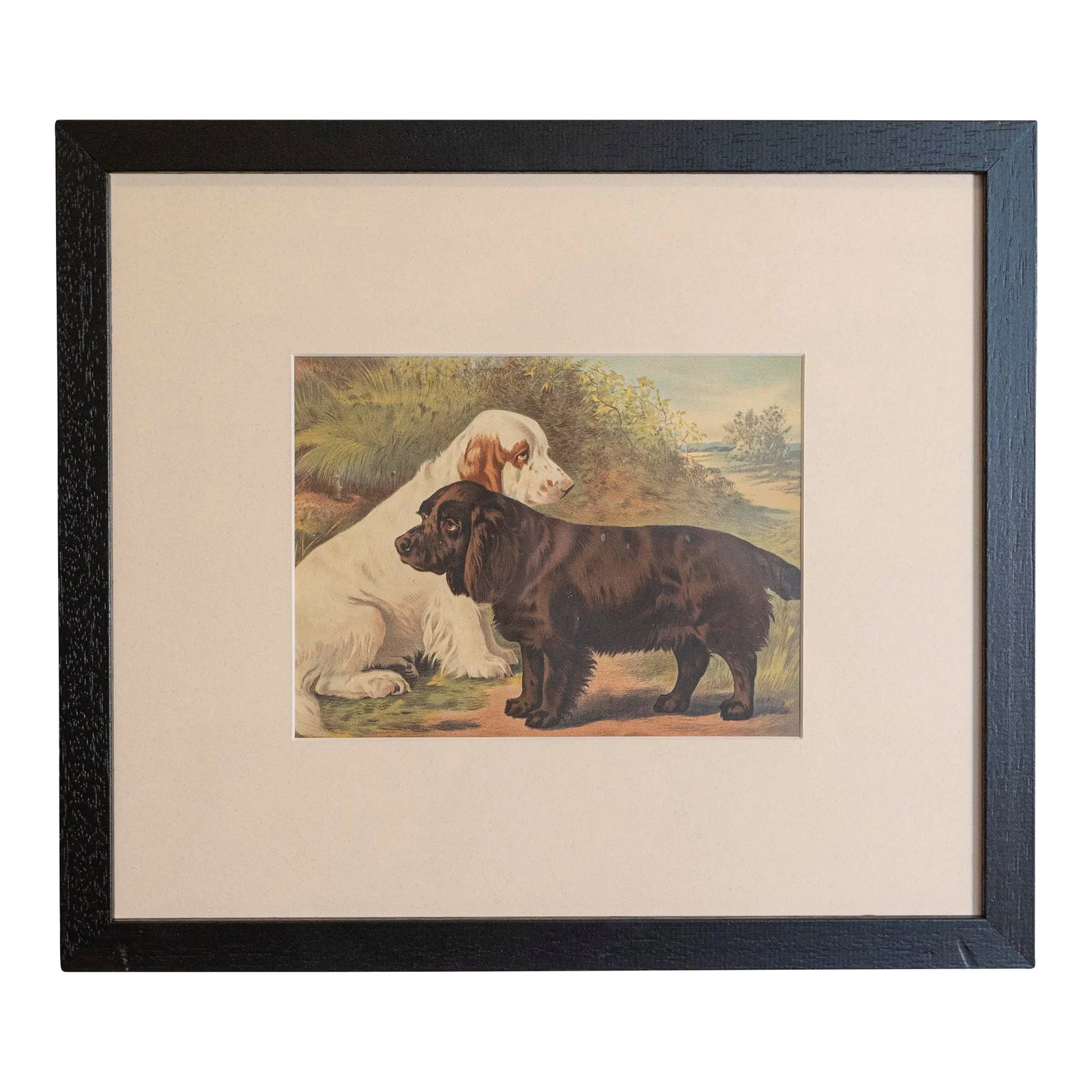 Single Print - Cassell, Petter, Galpin & Co Chromolithograph Dog Print in Black Frame: Single Print - This is for the exact dog print in the main photo featuring 2 dogs one brown & one white. (18 available see other photos and listings) - Cassell, Petter, Galpin & Co. chromolithograph