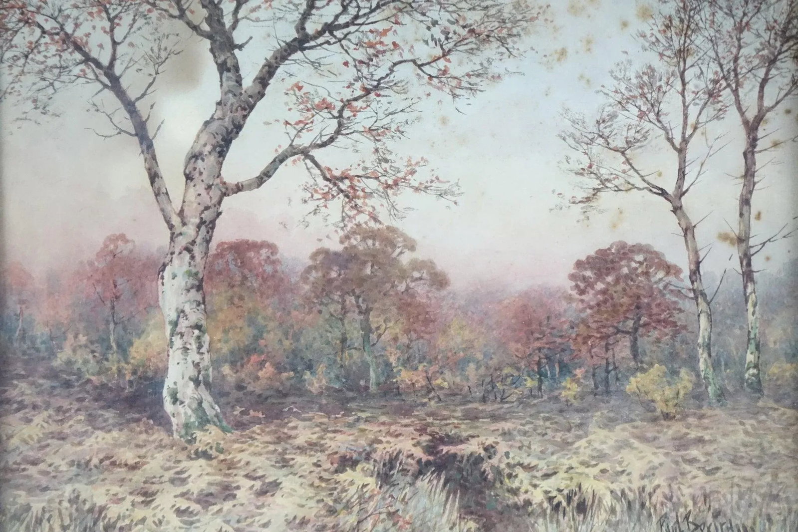 Autumn in the Woods - Mid 20th Century Original Watercolor on Paper Signed, Framed - 4
