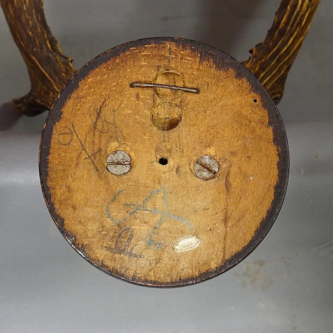 Siberian Deer Trophy Mount on Wooden Plaque Ca. 1900s - 5