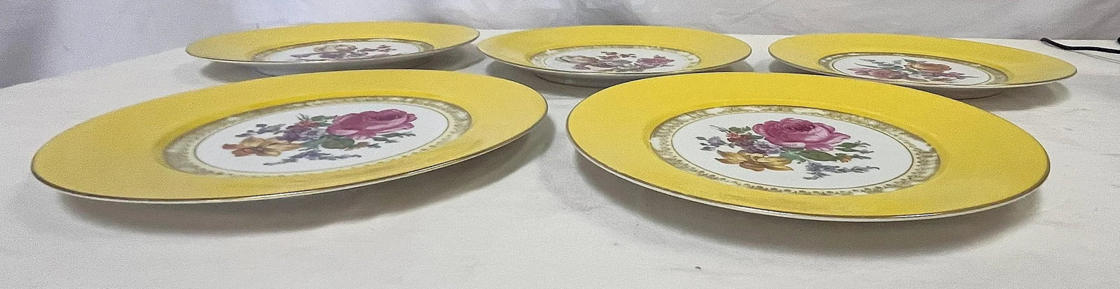 Vintage Victoria Czechoslovakia Floral Design Porcelain Dinner Plates- Set of 5 - 10