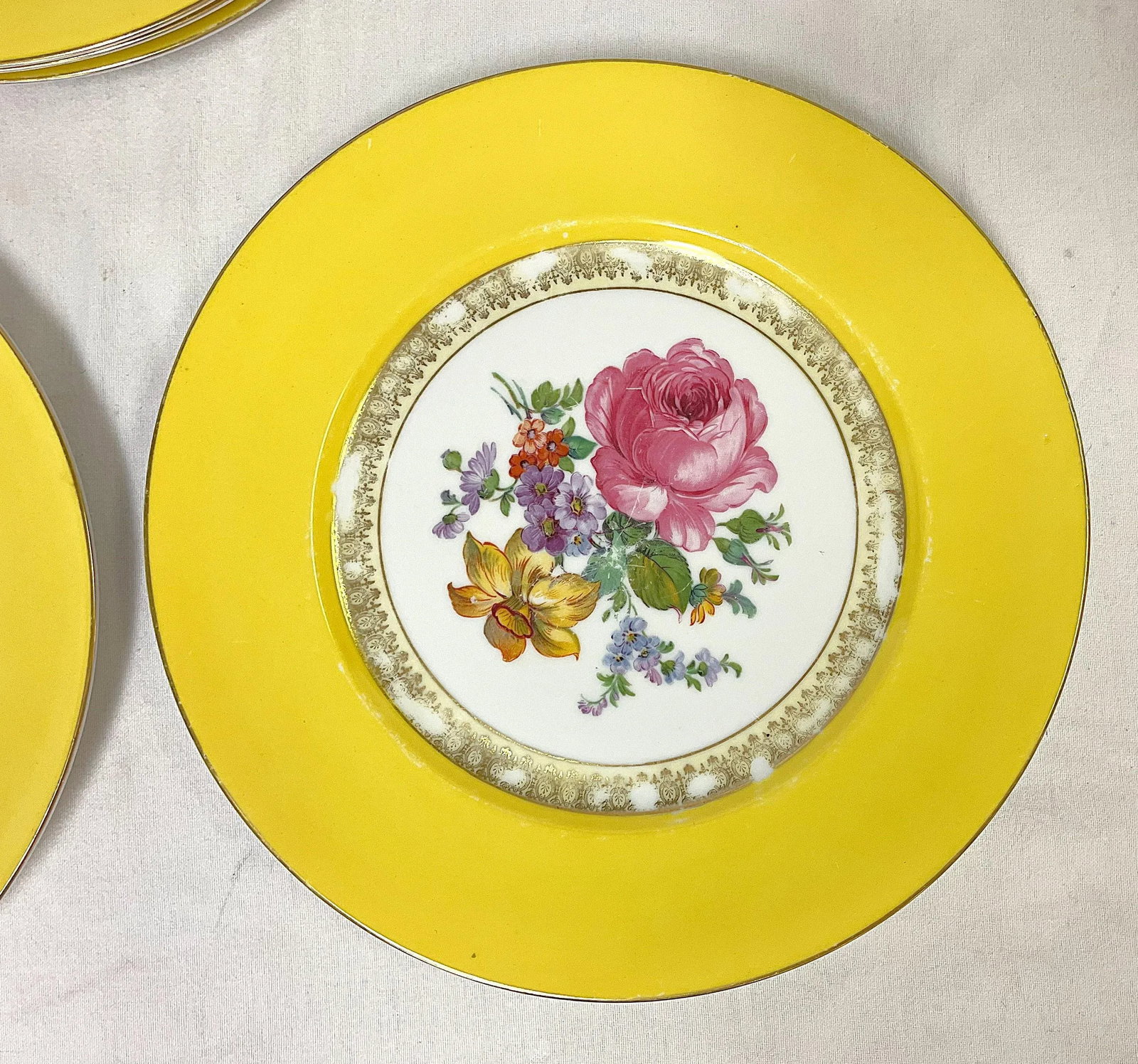 Vintage Victoria Czechoslovakia Floral Design Porcelain Dinner Plates- Set of 5 - 4
