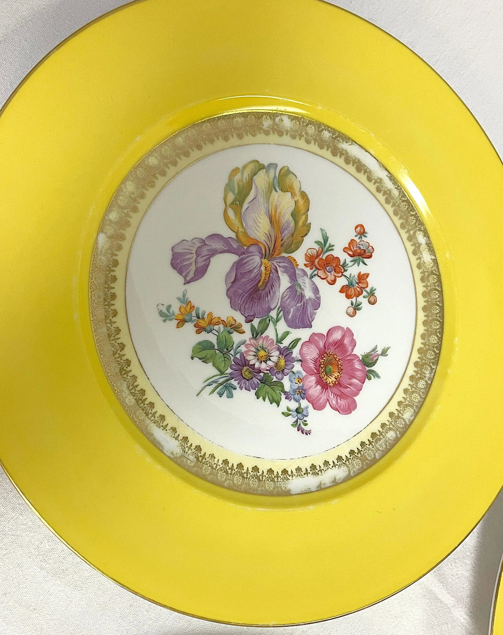 Vintage Victoria Czechoslovakia Floral Design Porcelain Dinner Plates- Set of 5 - 5