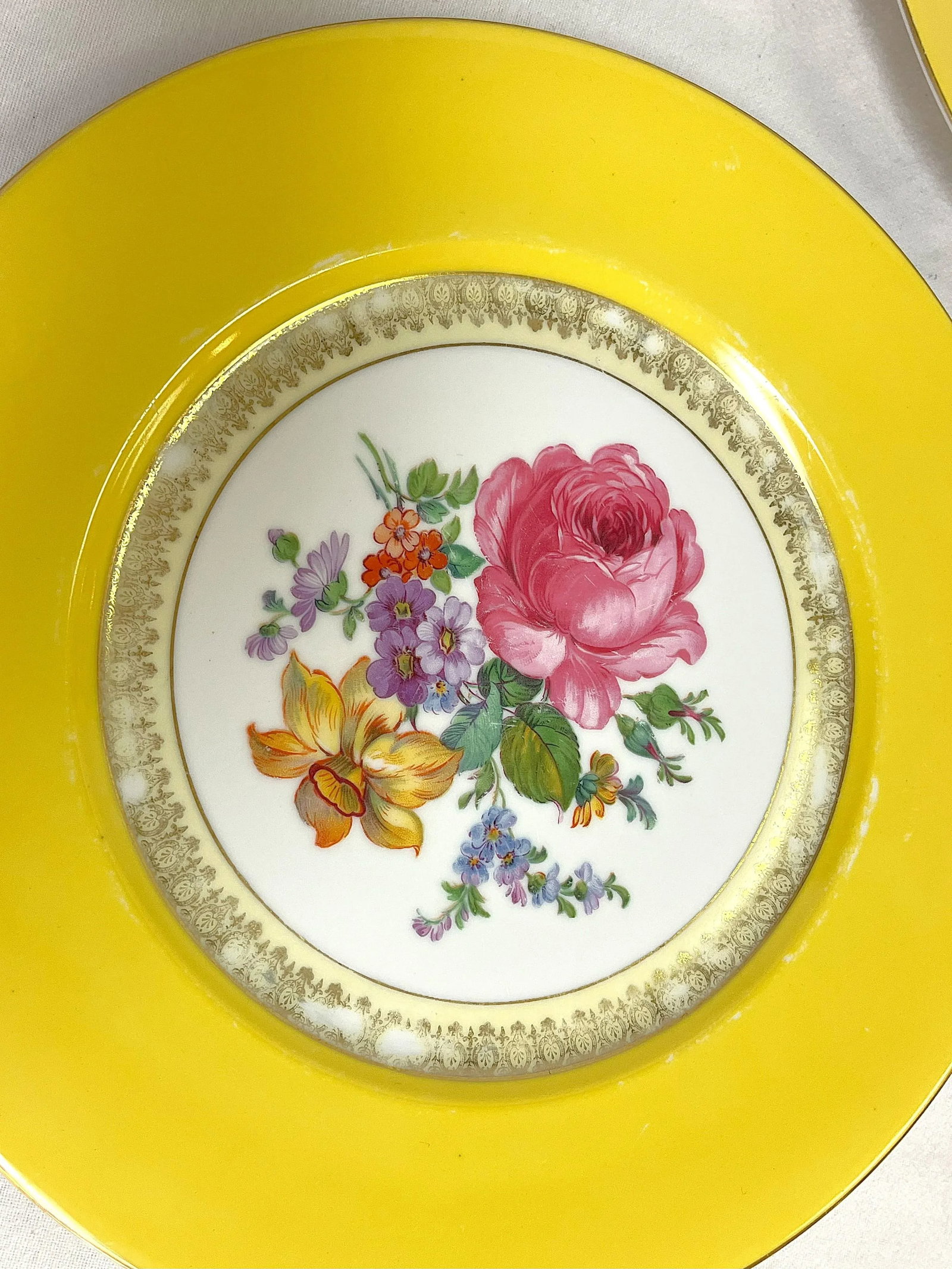 Vintage Victoria Czechoslovakia Floral Design Porcelain Dinner Plates- Set of 5 - 6