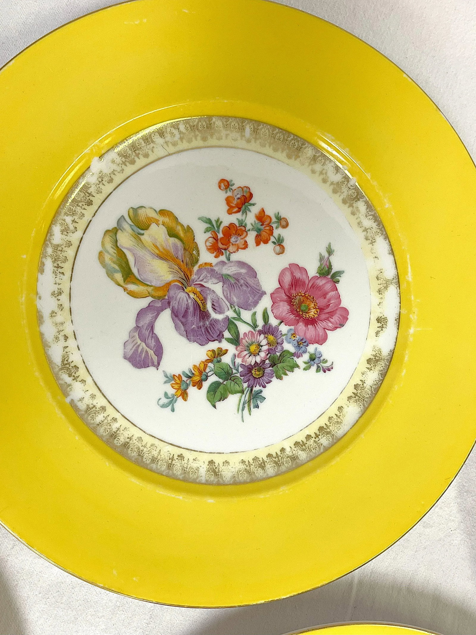 Vintage Victoria Czechoslovakia Floral Design Porcelain Dinner Plates- Set of 5 - 7