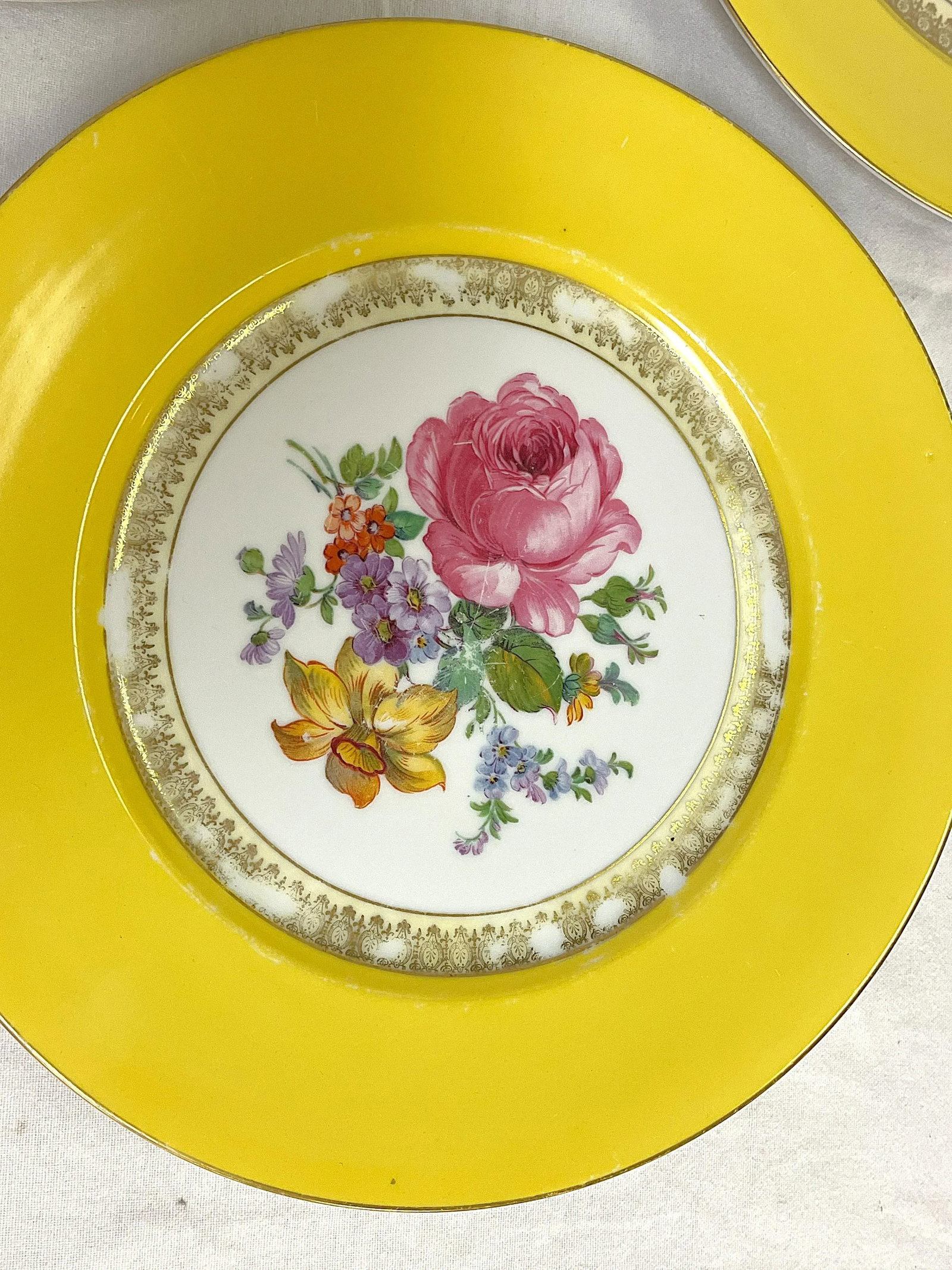 Vintage Victoria Czechoslovakia Floral Design Porcelain Dinner Plates- Set of 5 - 8