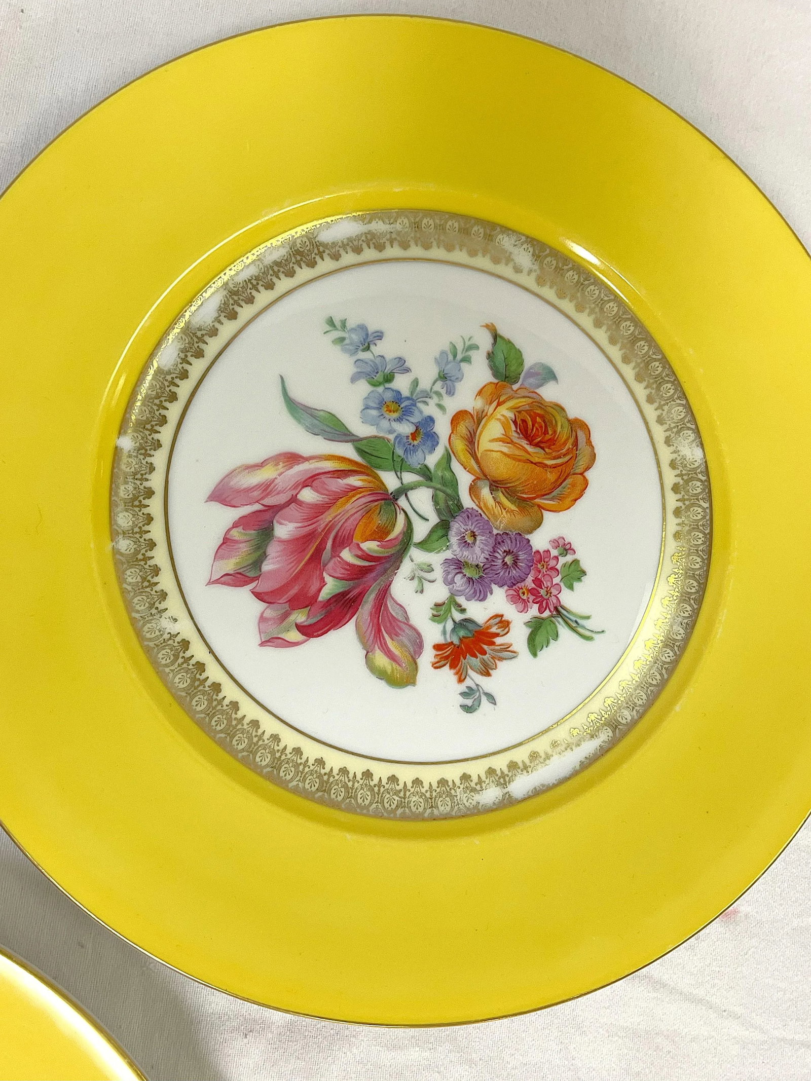 Vintage Victoria Czechoslovakia Floral Design Porcelain Dinner Plates- Set of 5 - 9