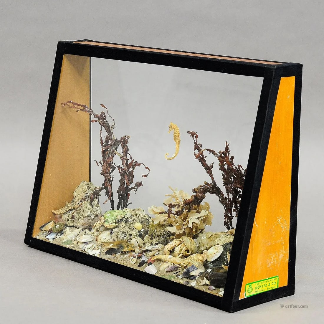 Antique Under the Water School Specimen - 5