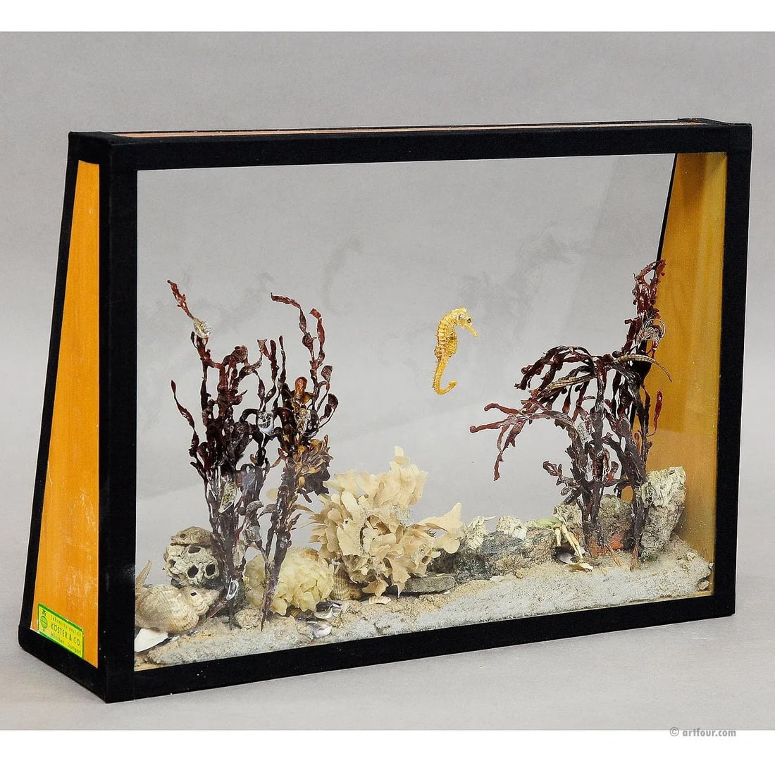 Antique Under the Water School Specimen - 6