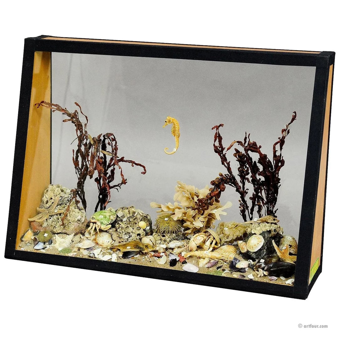 Antique Under the Water School Specimen - 7
