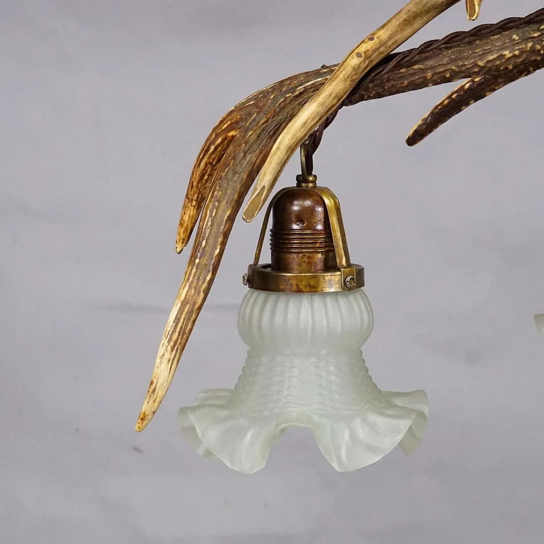 Rustic Black Forest Ceiling Lamp With Deer Antlers 1920s - 4