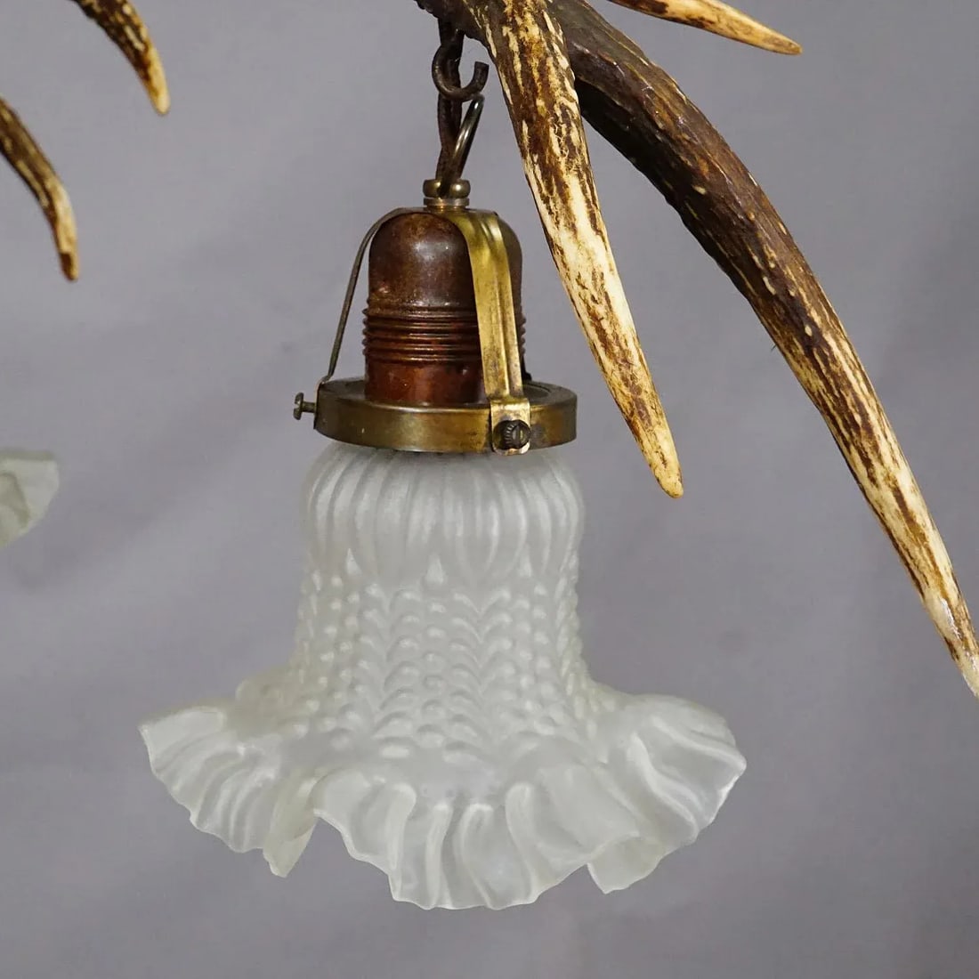 Rustic Black Forest Ceiling Lamp With Deer Antlers 1920s - 5
