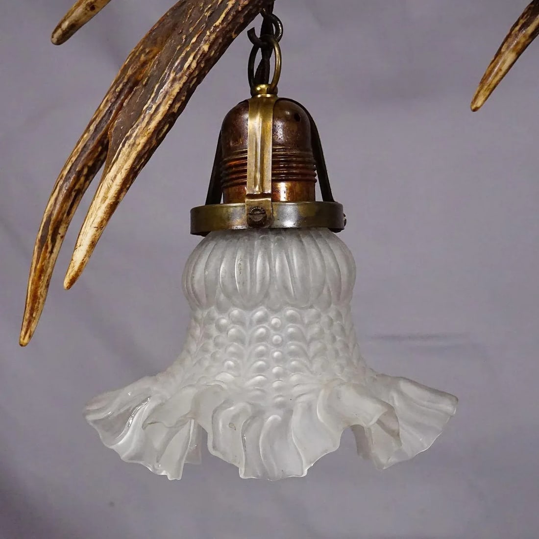 Large Black Forest Ceiling Lamp With Deer Antlers - 5