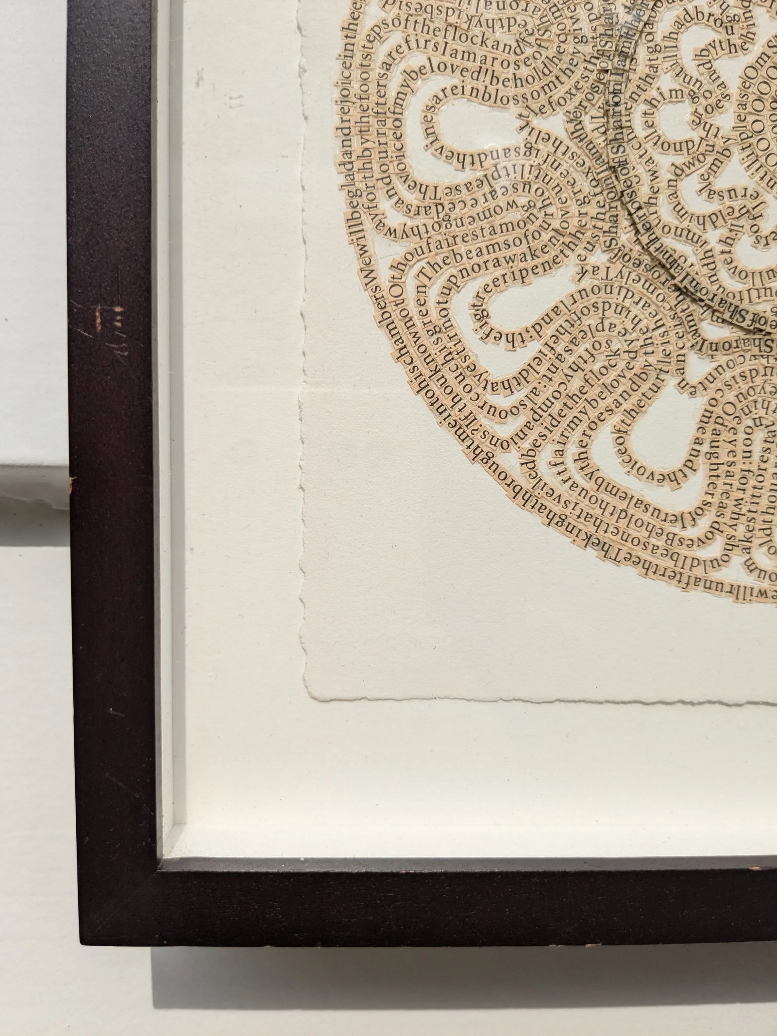 Rose of Sharon by Meg Hitchcock – Framed Collage of Sacred Texts - 5
