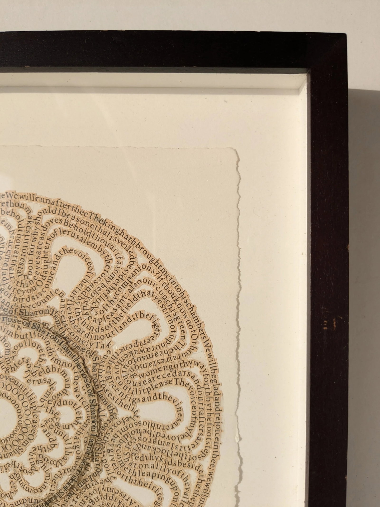 Rose of Sharon by Meg Hitchcock – Framed Collage of Sacred Texts - 6