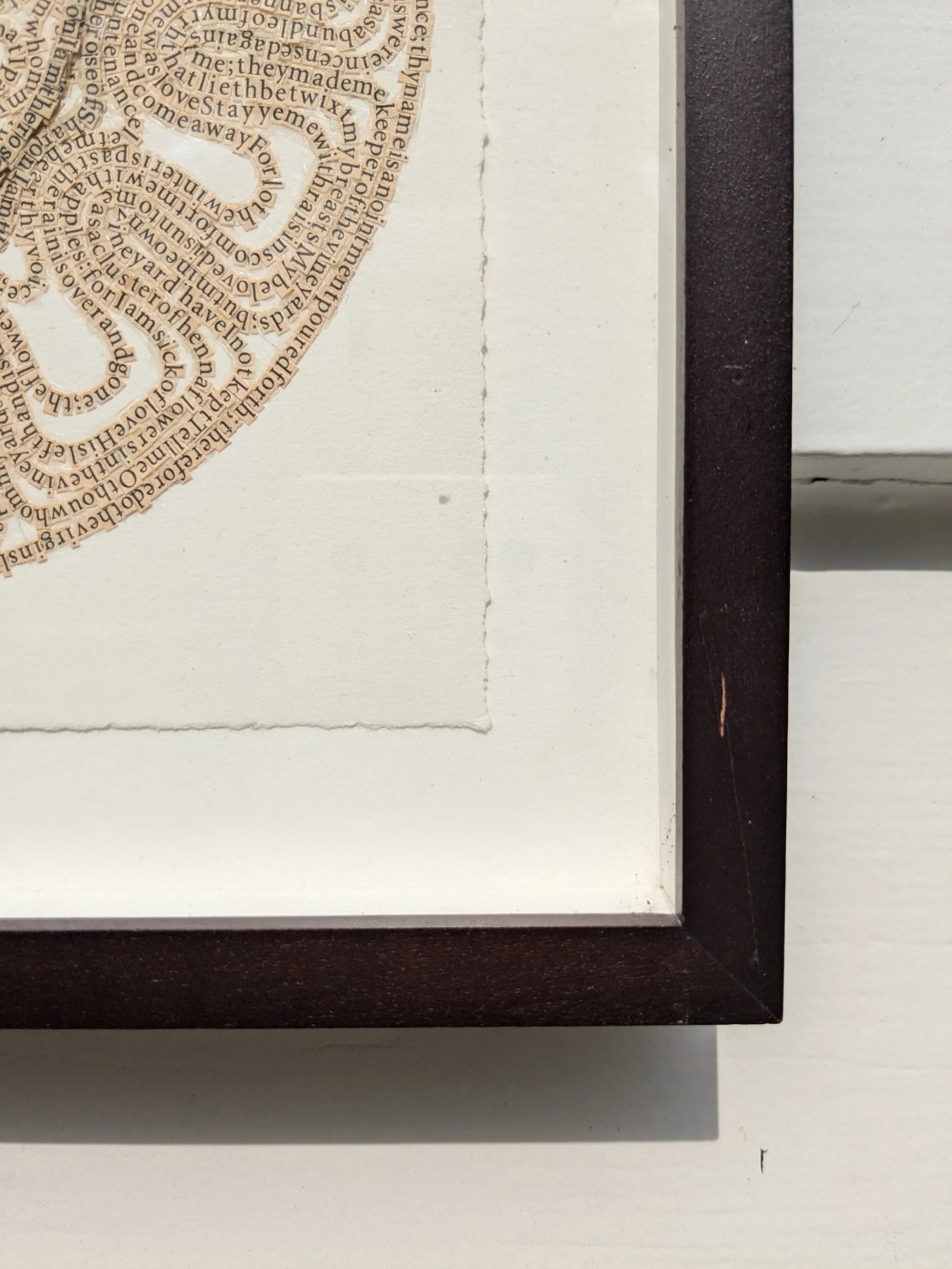 Rose of Sharon by Meg Hitchcock – Framed Collage of Sacred Texts - 7
