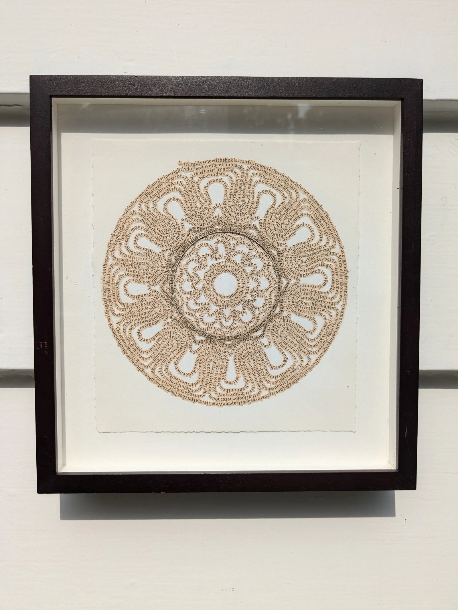 Rose of Sharon by Meg Hitchcock – Framed Collage of Sacred Texts - 8