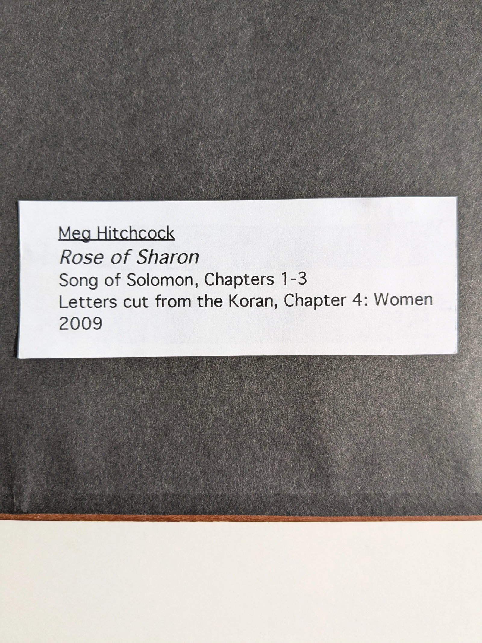 Rose of Sharon by Meg Hitchcock – Framed Collage of Sacred Texts - 9