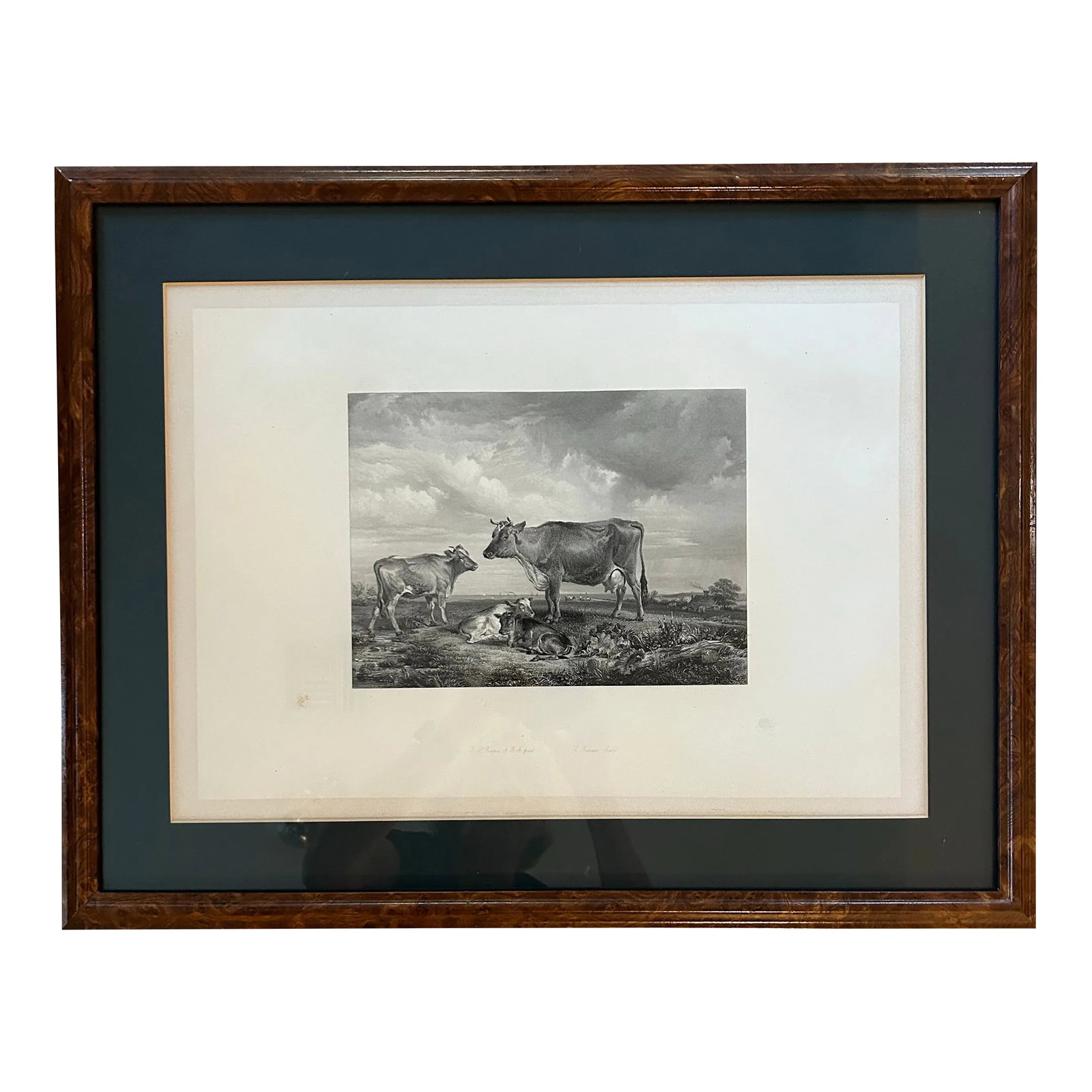 Vintage Intaglio Lithograph of T S Cooper "The Victorian Cow" in Burlwood Frame: Thomas Sidney Cooper lived in England in the 1800's and was known for his paintings of animals. This piece is an intaglio lithograph of his painting "The Victorian Cow". The print depicts cattle in a