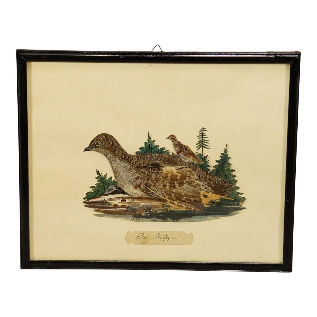 Victorian Taxidermy Diorama With Partridge, Germany Ca. 1900 (1 of 6)
