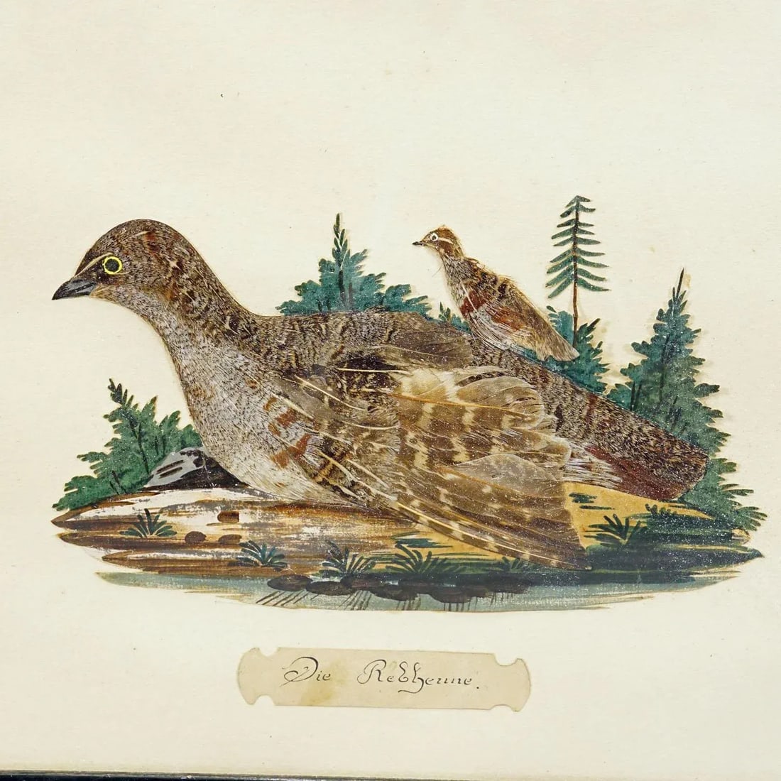 Victorian Taxidermy Diorama With Partridge, Germany Ca. 1900 - 2