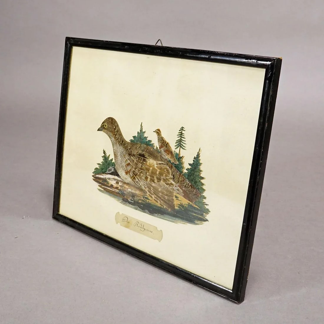 Victorian Taxidermy Diorama With Partridge, Germany Ca. 1900 - 3