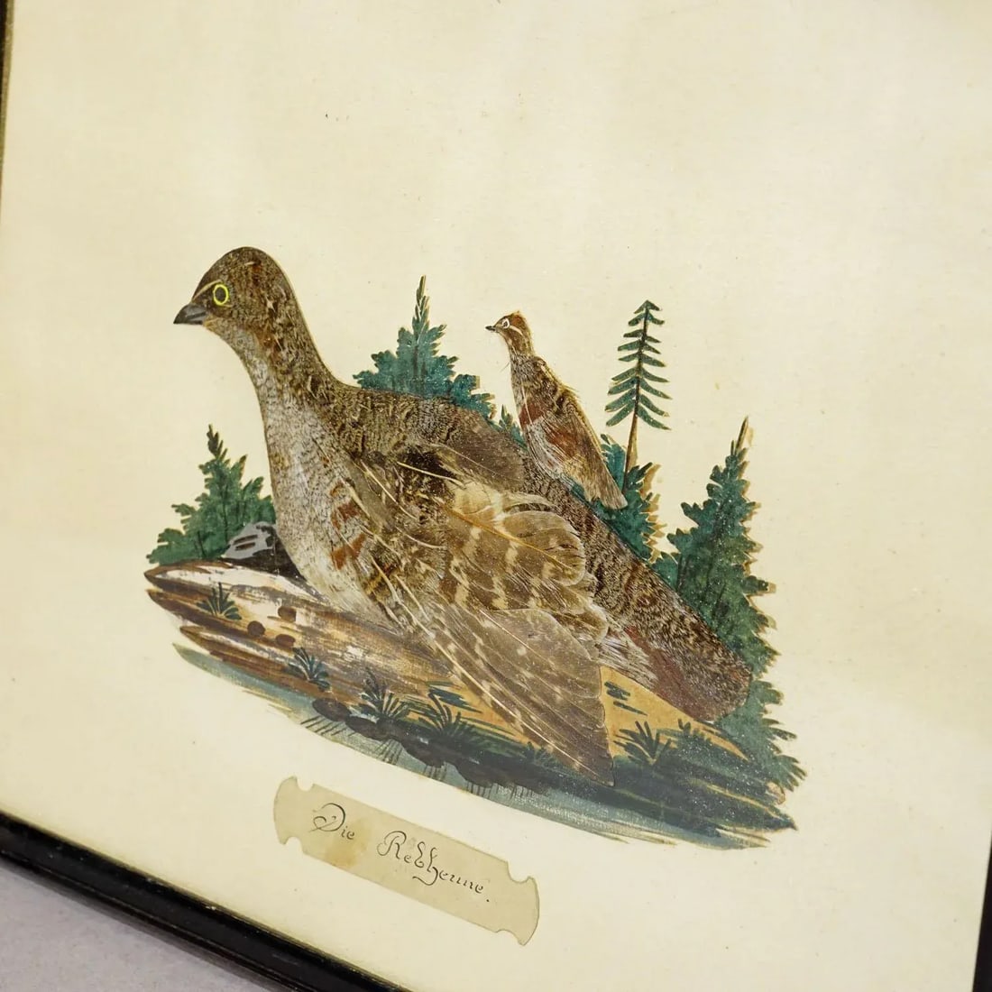 Victorian Taxidermy Diorama With Partridge, Germany Ca. 1900 - 4