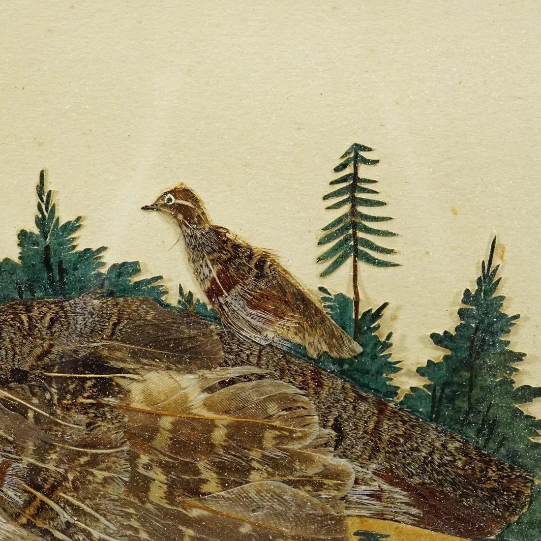 Victorian Taxidermy Diorama With Partridge, Germany Ca. 1900 - 6