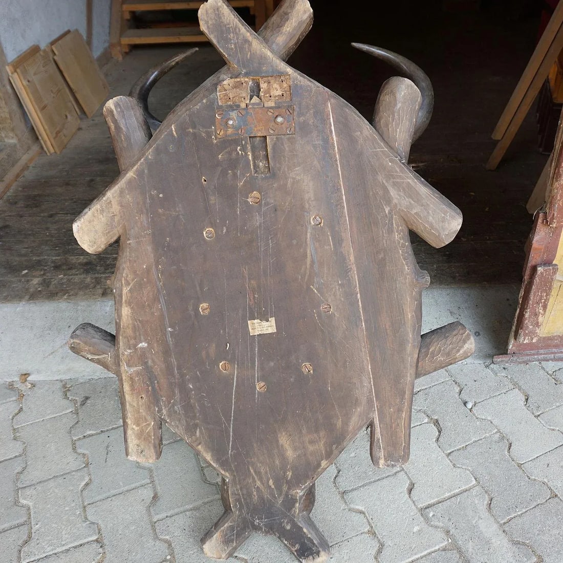 Large Antique Taxidermy of a Water Buffalo, Austria Ca. 1900 - 9