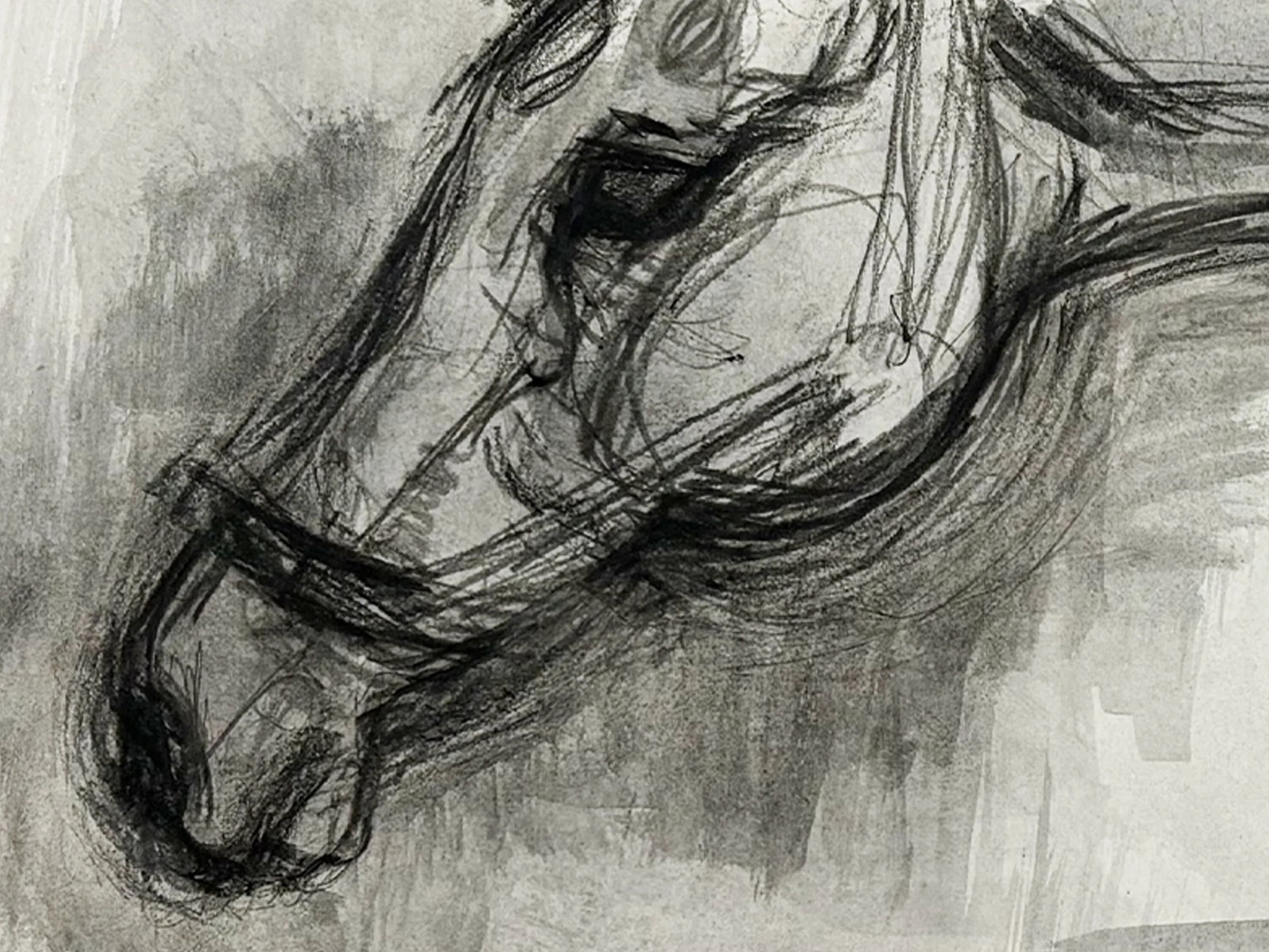 1990s "Horse Portrait Study in Black and White" British Sporting Art Equestrian Abstract Mixed Media - 4