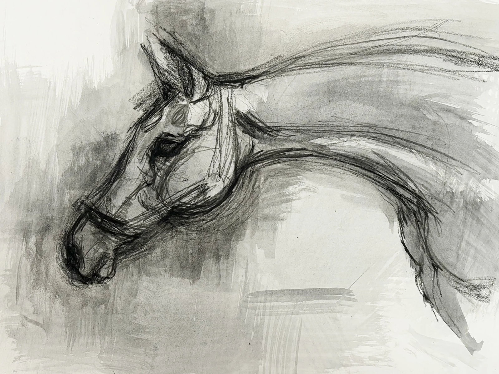 1990s "Horse Portrait Study in Black and White" British Sporting Art Equestrian Abstract Mixed Media - 5