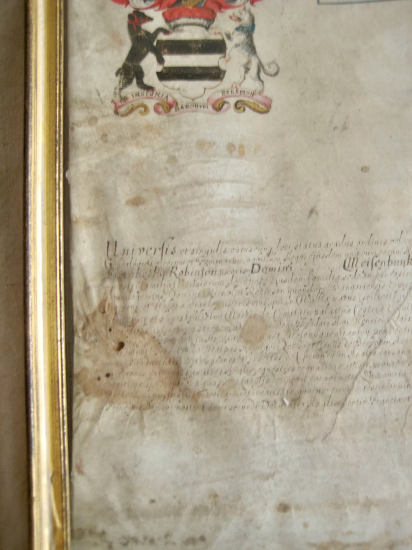 German Genealogist Tree Coat of Arm of a Duke Family Frame - 10