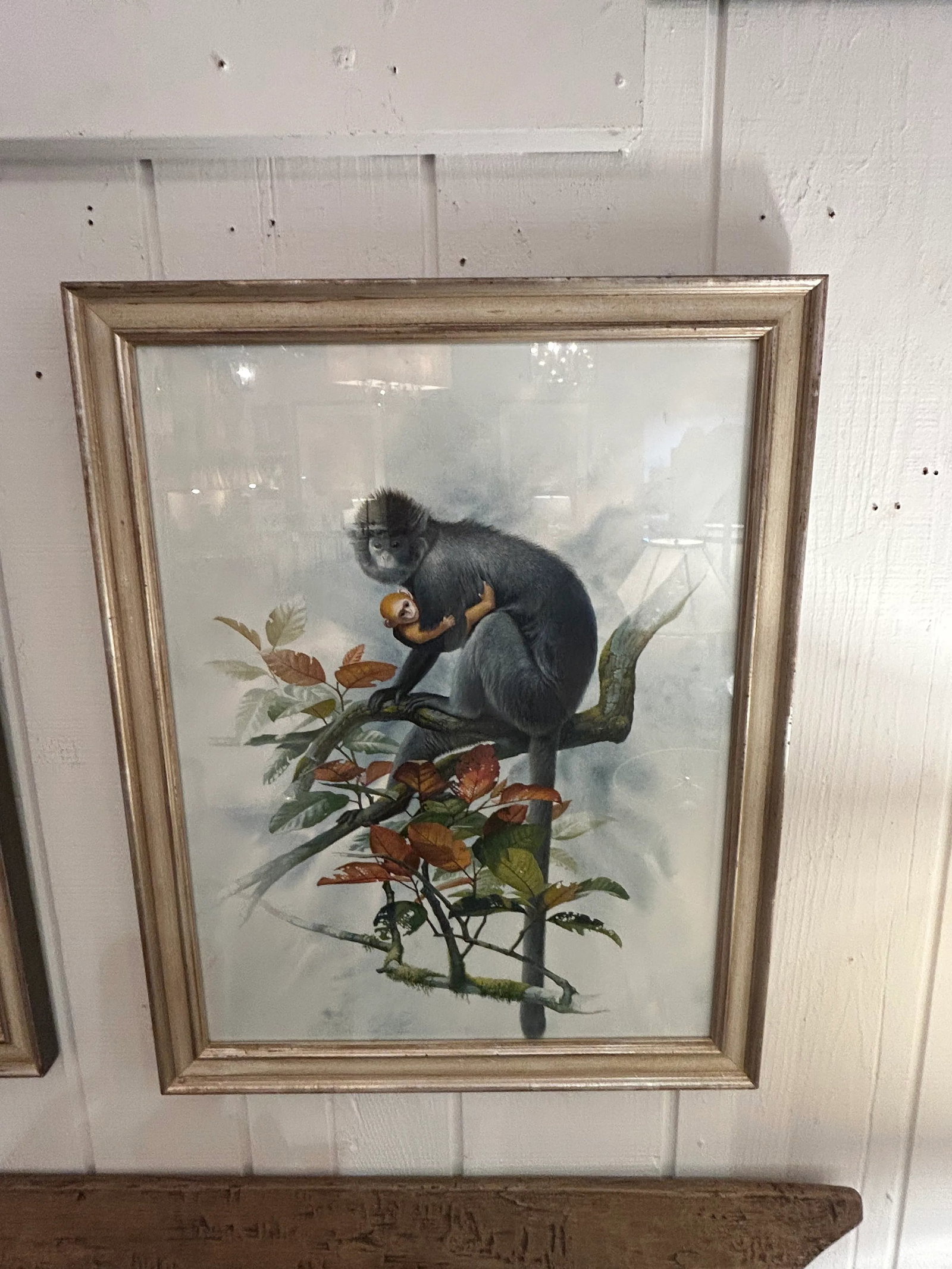 Meticulously Detailed Watercolors of Monkeys -Set of 3 - 2