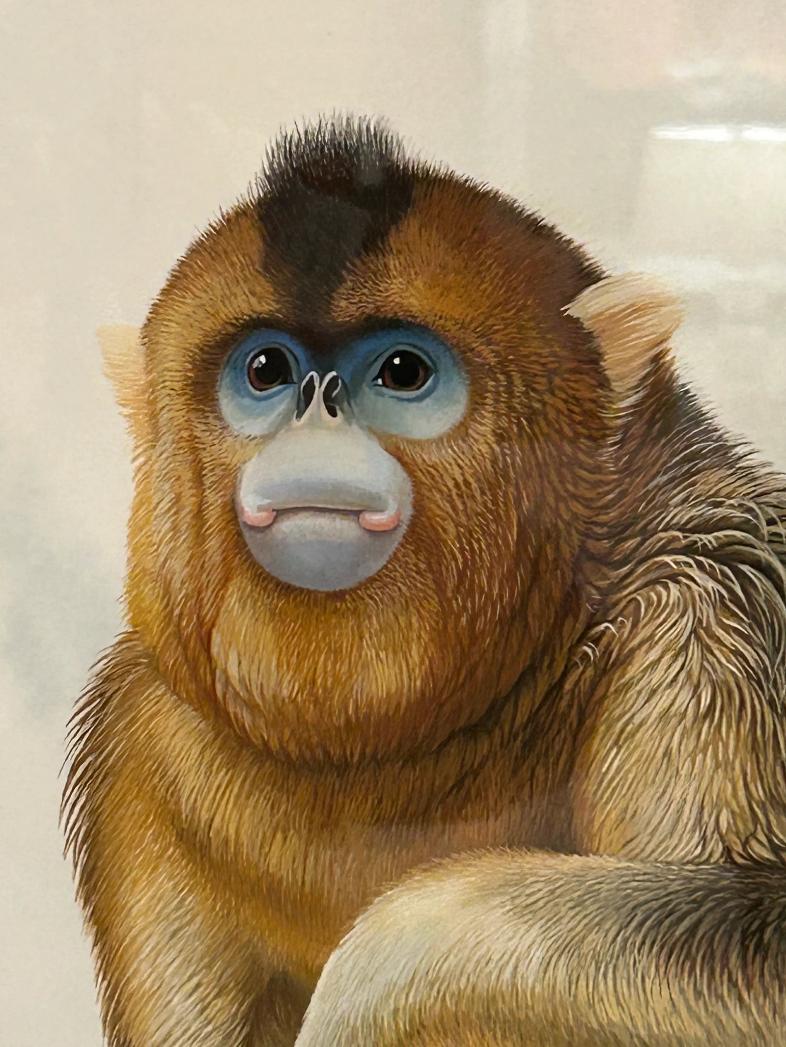 Meticulously Detailed Watercolors of Monkeys -Set of 3 - 4