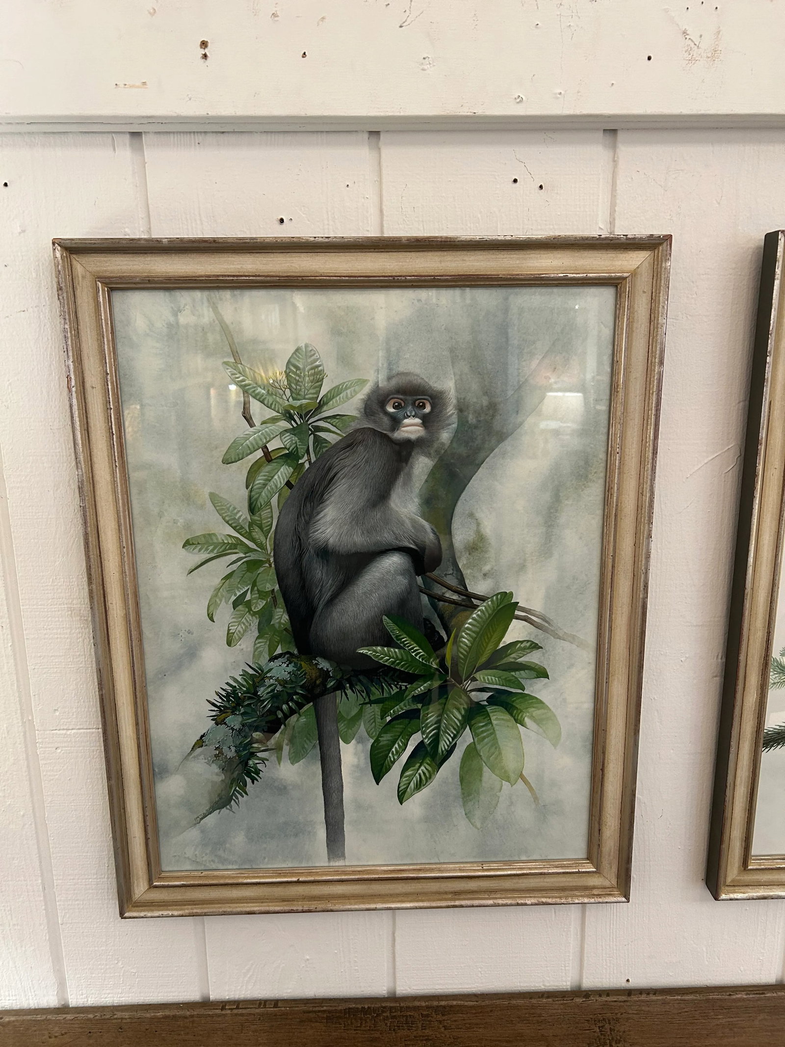 Meticulously Detailed Watercolors of Monkeys -Set of 3 - 6