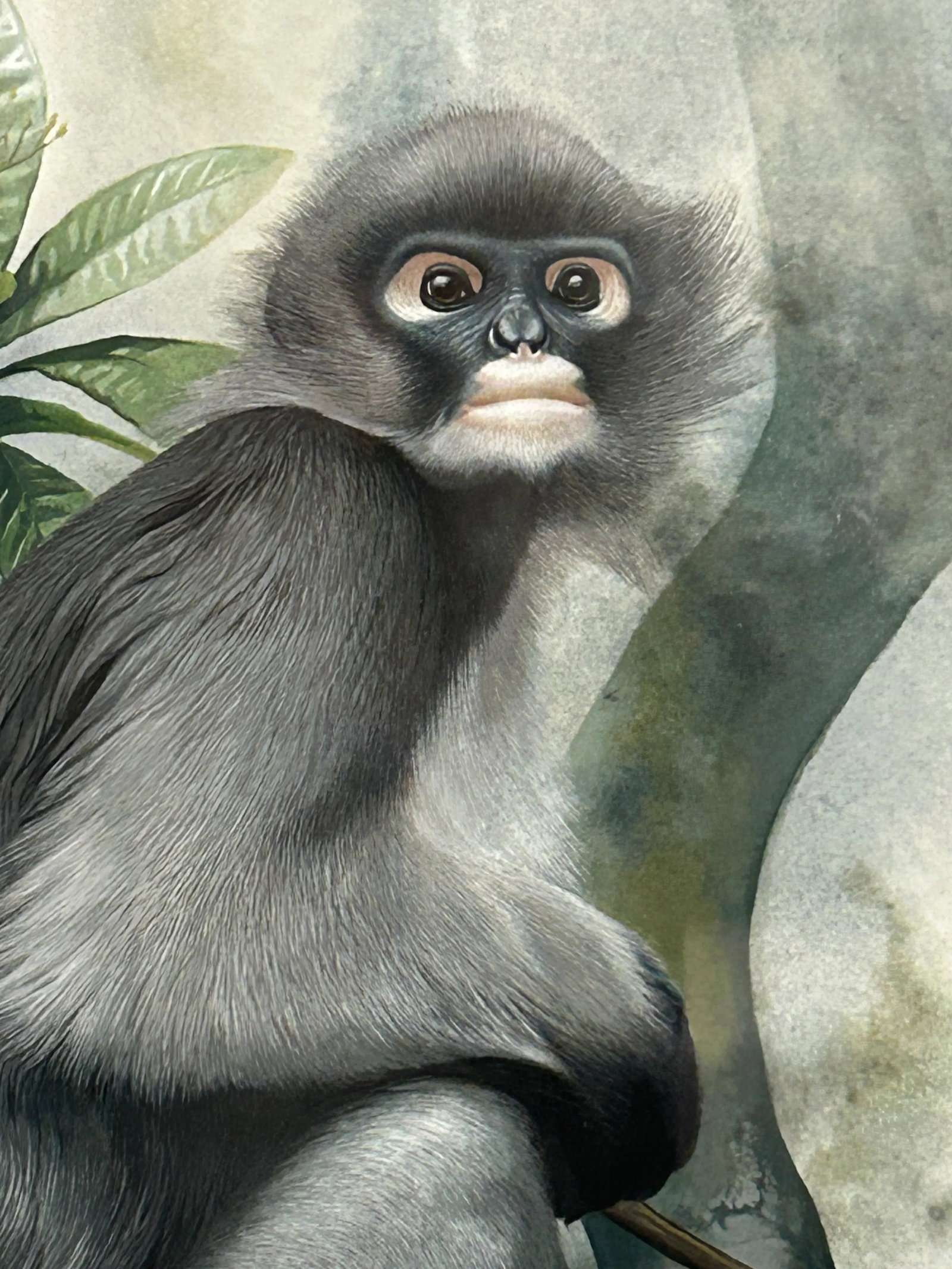 Meticulously Detailed Watercolors of Monkeys -Set of 3 - 7