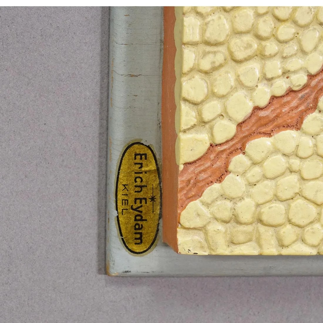 Teaching Aid Showpiece - Structure of the Human Skin, Resin on Wood 1950s - 6