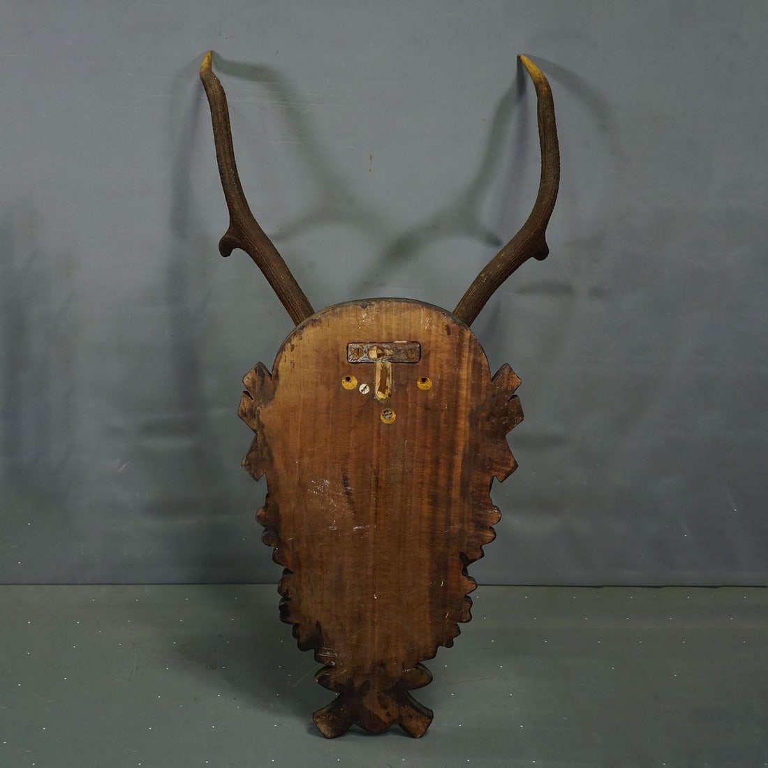 Large Black Forest Red Deer Trophy on Carved Plaque - Germany 1930 - 4