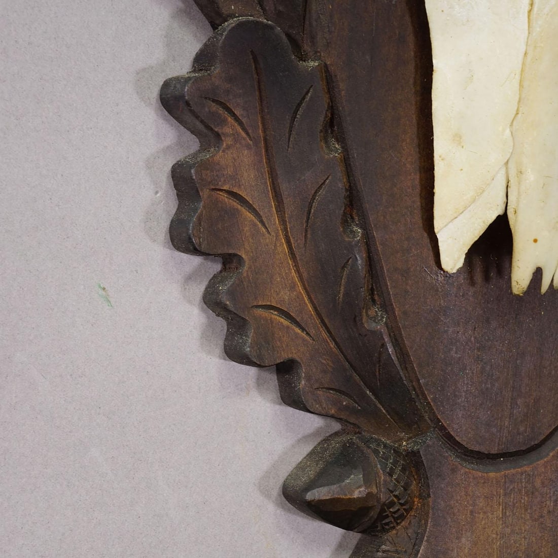 Large Black Forest Red Deer Trophy on Carved Plaque - Germany 1930 - 6