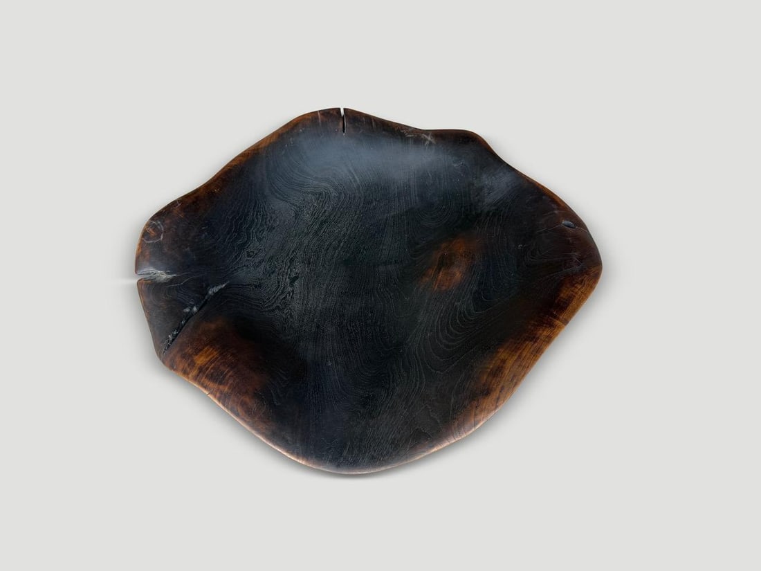 Andrianna Shamaris Charred Sculptural Bowl Or Platter - 5