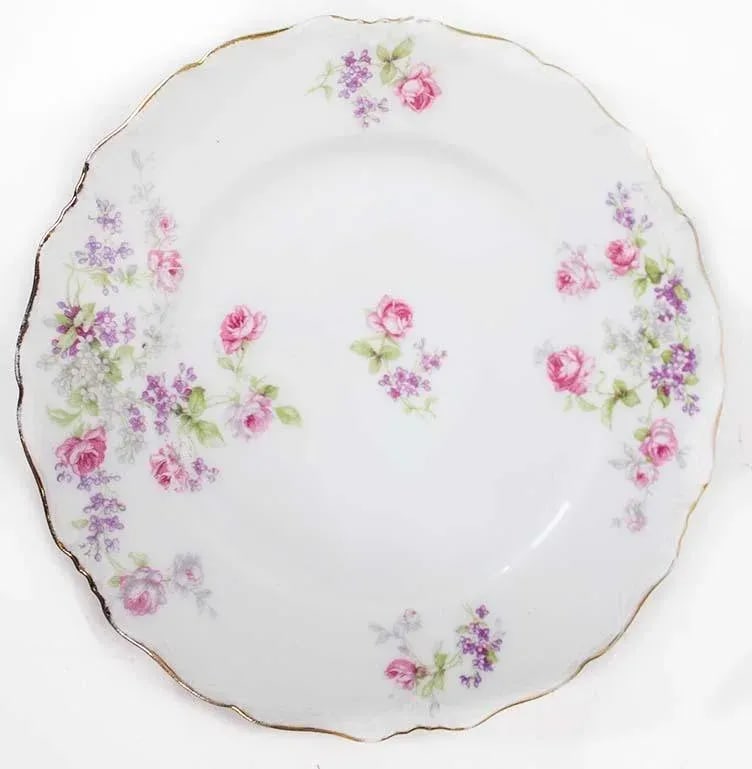 Limoges China Depose Pattern - Set of 6 Plates - 3