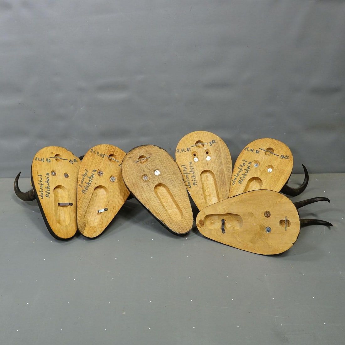 Set of Six Vintage Chamois Trophies on Wooden Plaques, Germany Ca. 1980s - 7