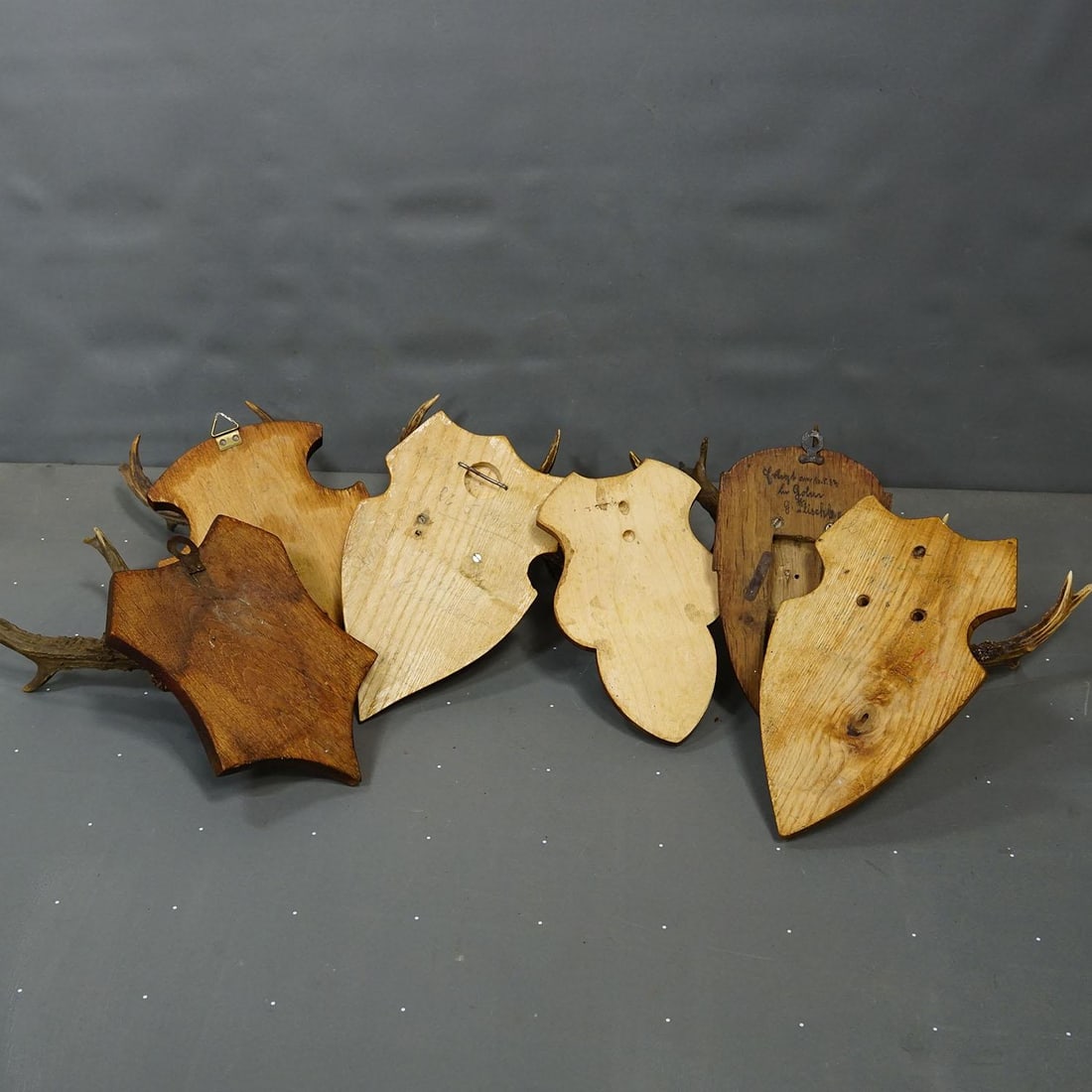 Set of Six Vintage Roe Deer Trophies on Wooden Plaques Germany Ca. 1960s - 7
