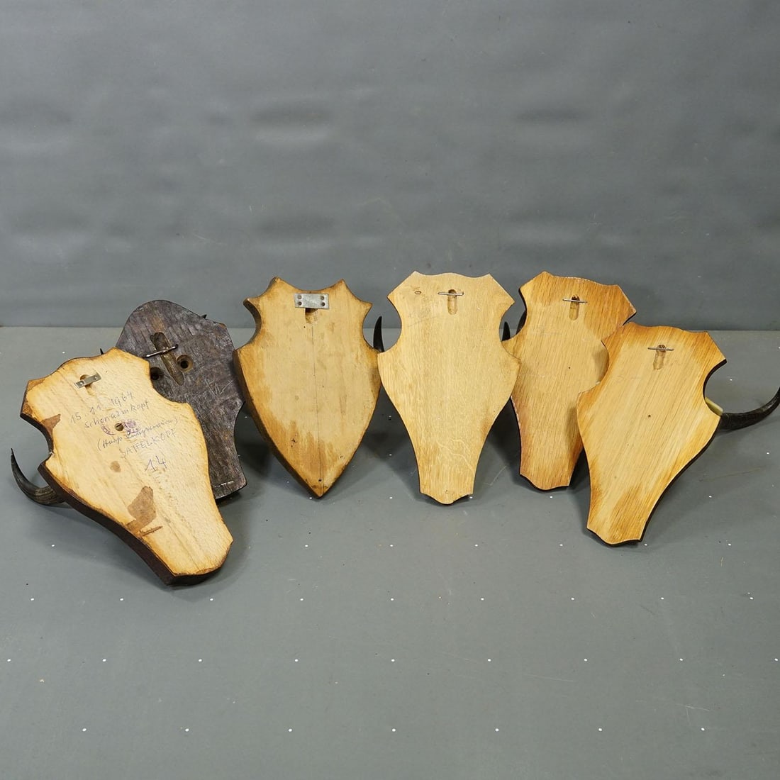 Vintage Set of Six Chamois Trophies on Shaped Plaques, Germany Ca. 1960s - 6