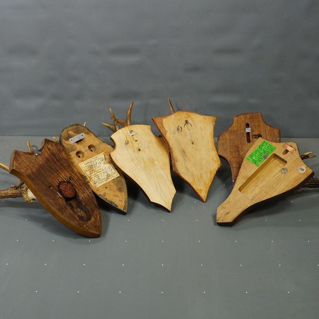 Vintage Set of Six Roe Deer Trophies on Wooden Plaques Germany ca.1950/1960s - 8