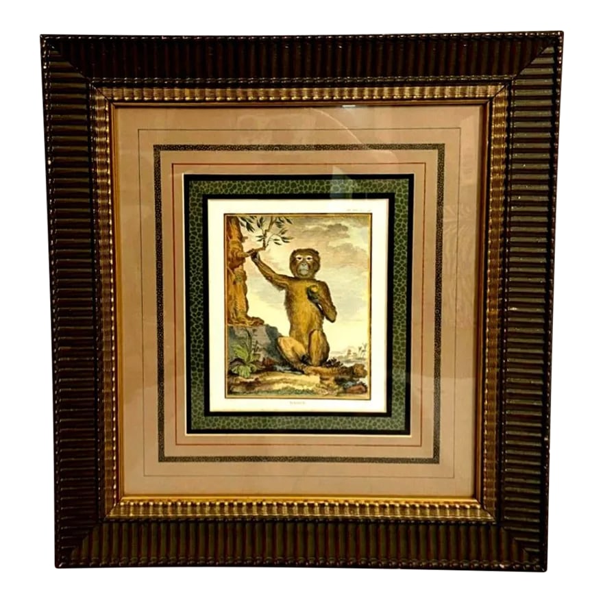 After George Buffon Monkey Engraving, Framed and Matted: ESTATE .............................. After George Buffon Monkey Print in wood frame and double matted. Print is inscribed with 'Magot'. 20.5" H x 19"W Frame Condition: Alterations: Original