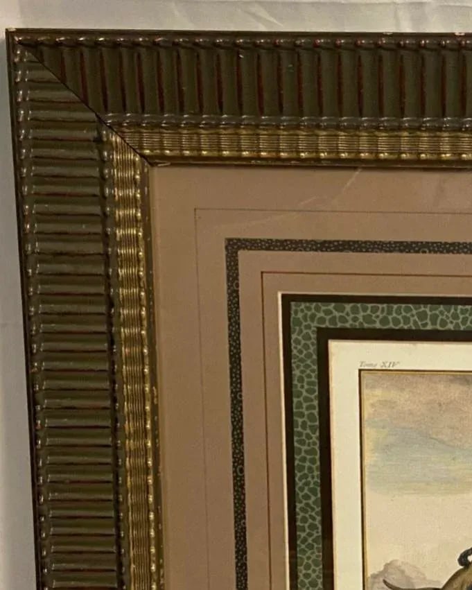 After George Buffon Monkey Engraving, Framed and Matted - 4
