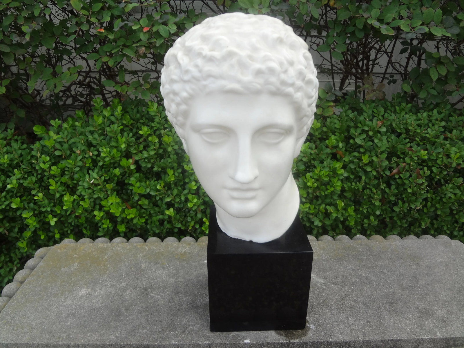 French Porcelain Bust of a Classical Male - 8