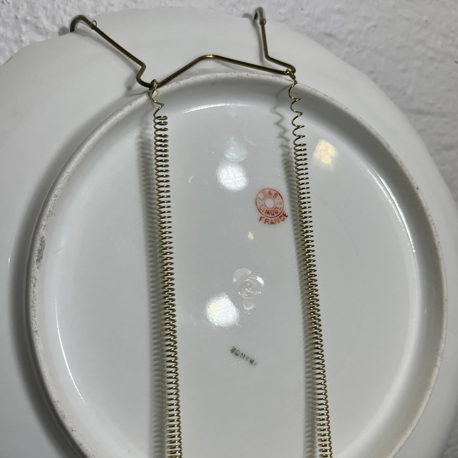 Pair of Antique L S & S Limoges Wall/Cabinet Plates - 5